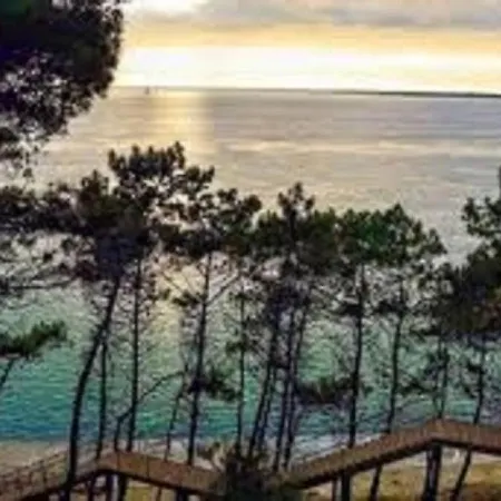 Arcachon, 2 Pieces, 4 Personnes - Fr-1-374-21 *
