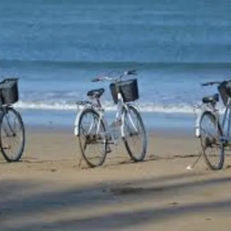 Arcachon, 2 Pieces, 4 Personnes - Fr-1-374-21 Arcachon