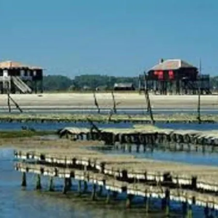 Arcachon, 2 Pieces, 4 Personnes - Fr-1-374-21 Apartmán Arcachon